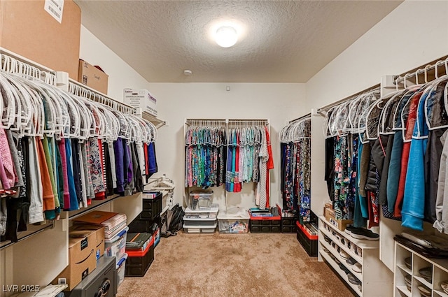 walk in closet with carpet floors