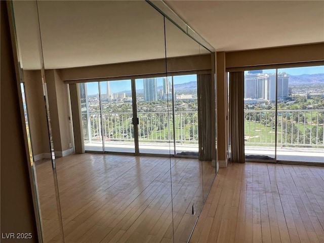 entryway featuring a healthy amount of sunlight, wood-type flooring, and a mountain view