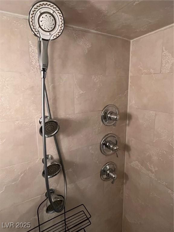 room details with tiled shower