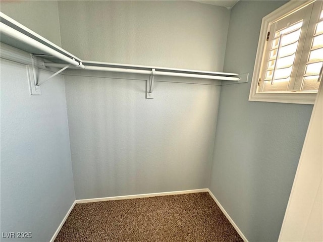 spacious closet with carpet flooring