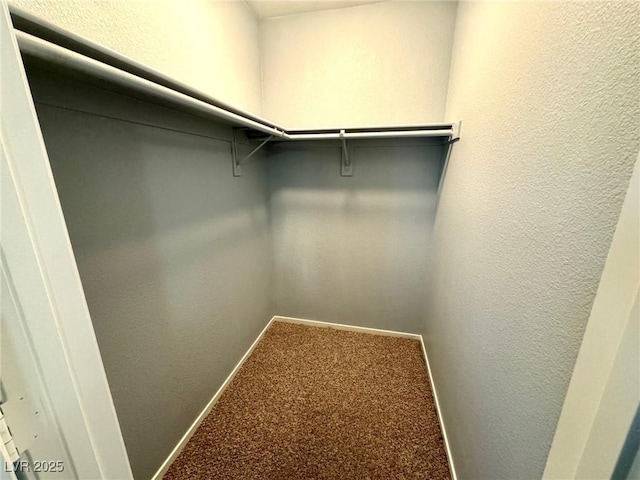 walk in closet featuring carpet