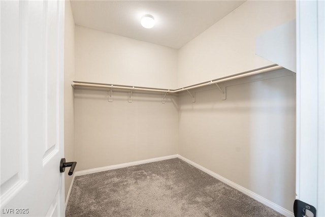 spacious closet with carpet floors