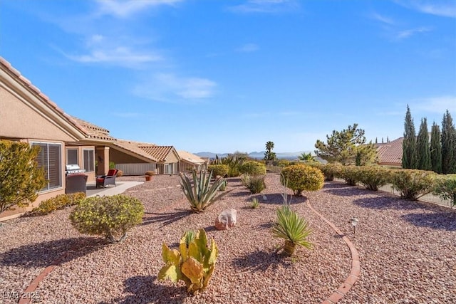 view of yard with a patio