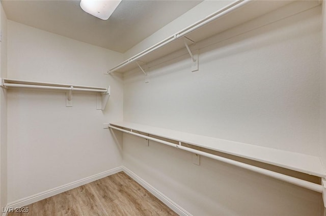 walk in closet with wood-type flooring