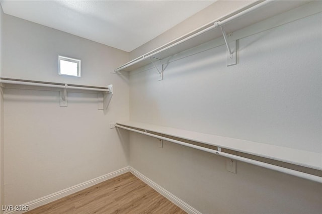 walk in closet featuring hardwood / wood-style flooring