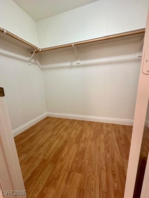 walk in closet with wood-type flooring