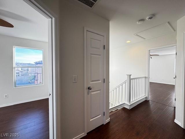 hallway featuring dark hardwood / wood-style floors