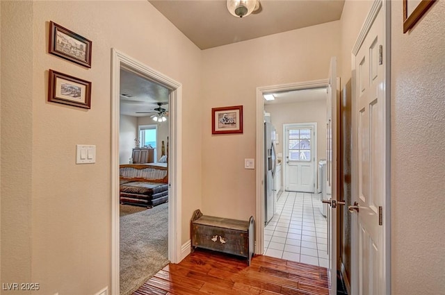 hallway with plenty of natural light and hardwood / wood-style floors