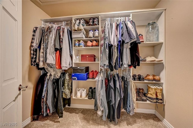 spacious closet with carpet floors