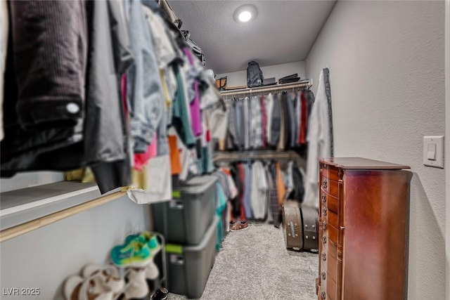 walk in closet featuring carpet flooring