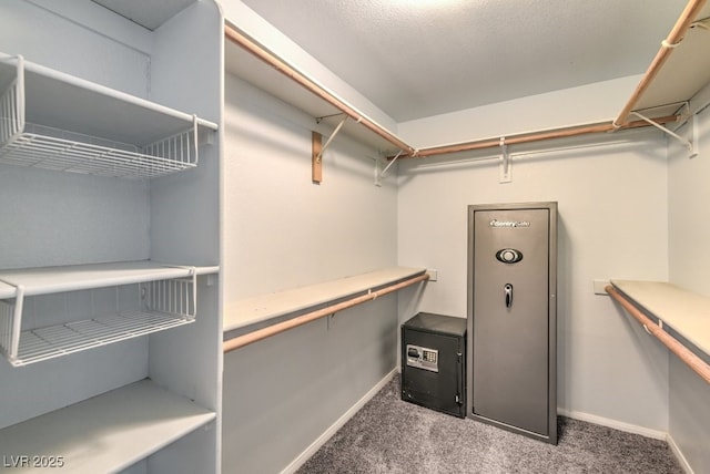 spacious closet with carpet flooring