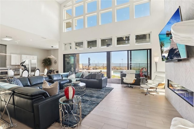 living room featuring light hardwood / wood-style floors