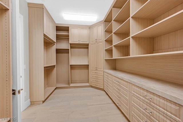 walk in closet with light wood-style flooring