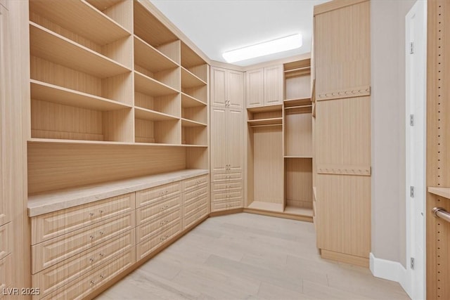 walk in closet with light wood-type flooring