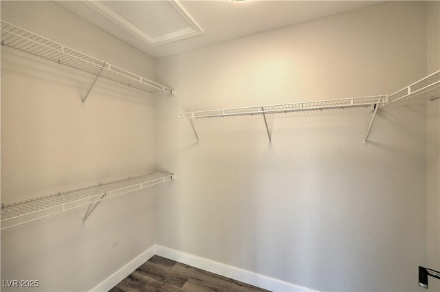 walk in closet featuring dark hardwood / wood-style flooring