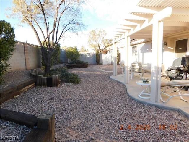 view of yard featuring a patio