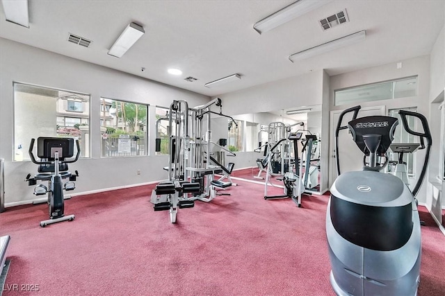 workout area featuring carpet