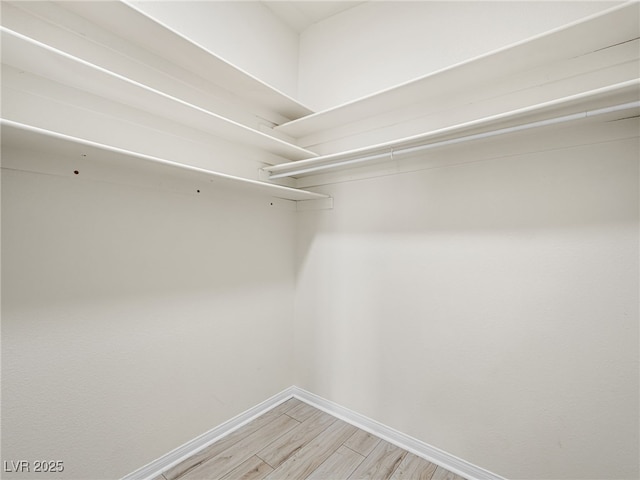 walk in closet featuring hardwood / wood-style flooring