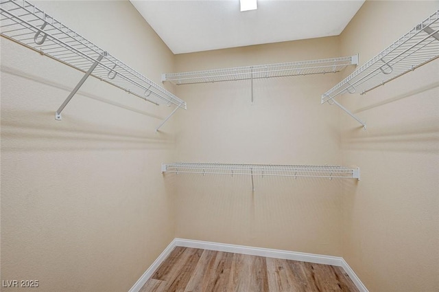 spacious closet with hardwood / wood-style flooring