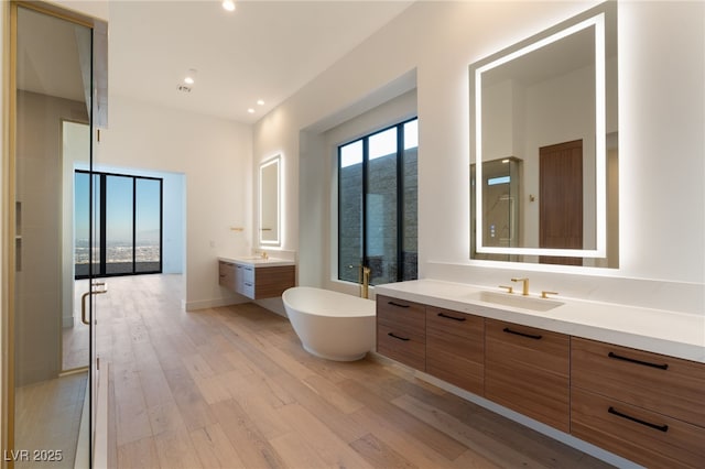 bathroom featuring vanity, independent shower and bath, and wood-type flooring