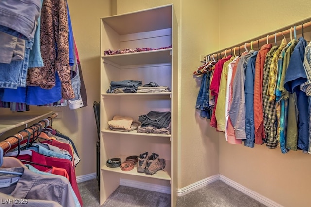 walk in closet with carpet floors