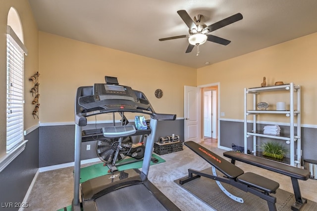 exercise area featuring ceiling fan and carpet flooring