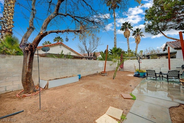 view of yard with a patio