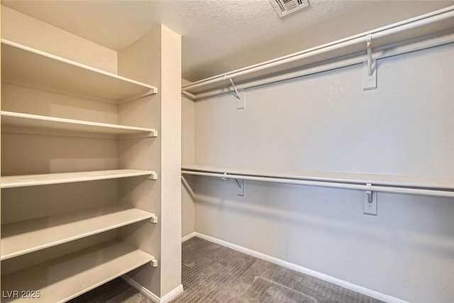 walk in closet featuring carpet flooring