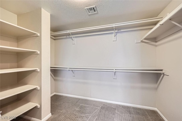 walk in closet featuring visible vents and carpet floors