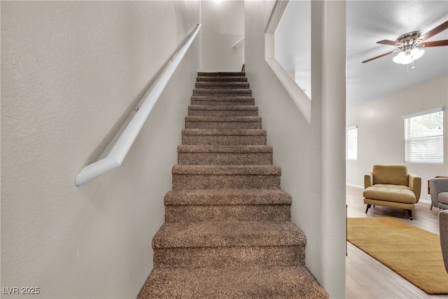 staircase featuring hardwood / wood-style floors and ceiling fan