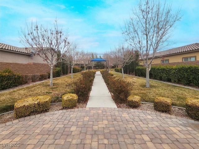 view of property's community with a yard