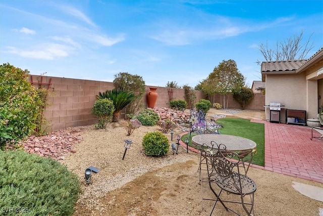 view of yard with a patio area