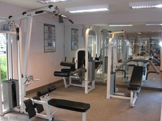 exercise room with a wealth of natural light