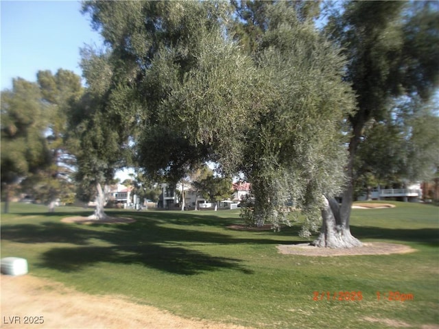 view of community featuring a yard