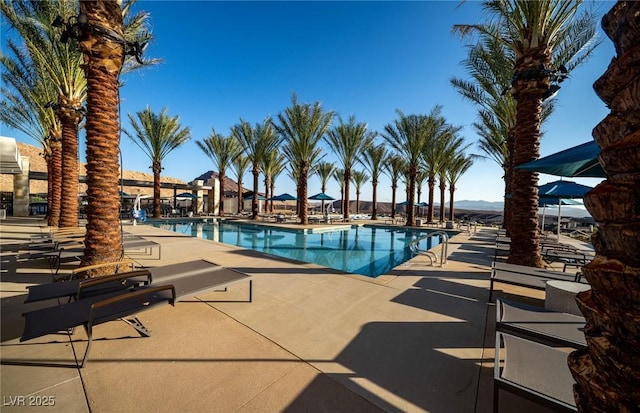 view of swimming pool featuring a patio