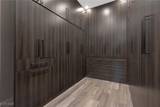 spacious closet featuring light hardwood / wood-style flooring