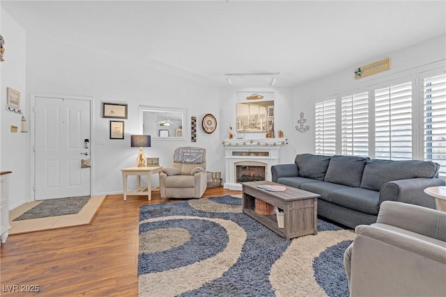 living room featuring hardwood / wood-style floors and track lighting