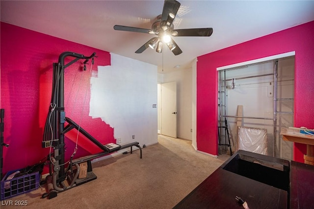 exercise area featuring ceiling fan and carpet floors