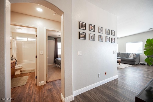 hallway with plenty of natural light and dark hardwood / wood-style flooring