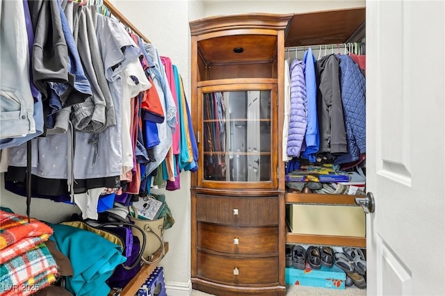 view of walk in closet