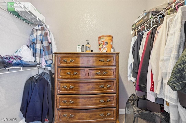 view of spacious closet