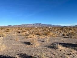 1719 S Fielding Blvd, Crystal NV, 89060 land for sale