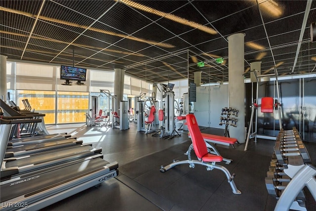 gym with floor to ceiling windows