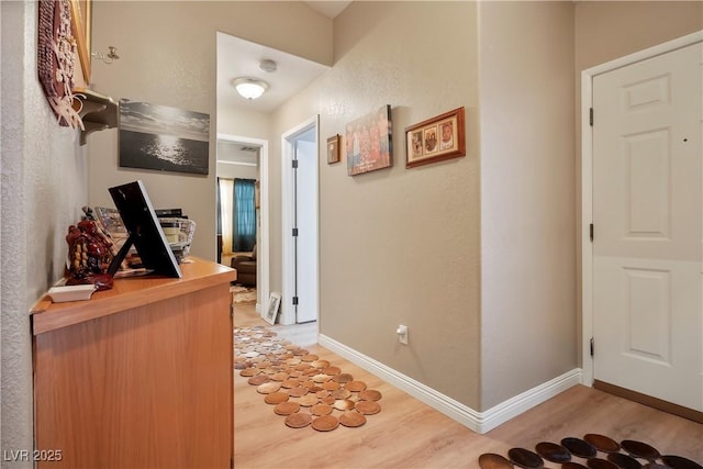 corridor featuring hardwood / wood-style flooring