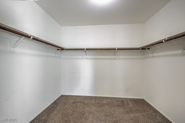 spacious closet with carpet