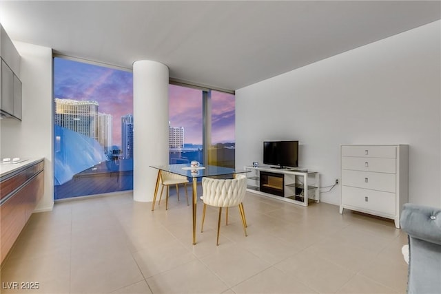 dining space with expansive windows