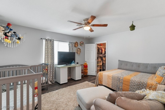 bedroom featuring ceiling fan, a walk in closet, and dark hardwood / wood-style floors