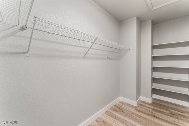 spacious closet featuring wood-type flooring