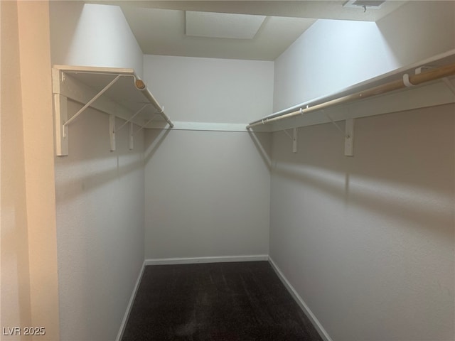 spacious closet featuring carpet flooring