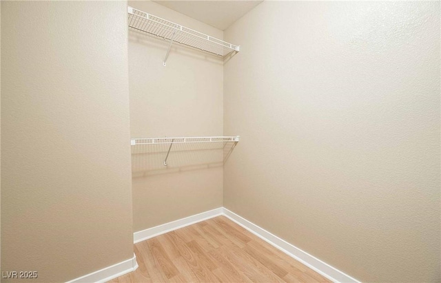 walk in closet with wood-type flooring